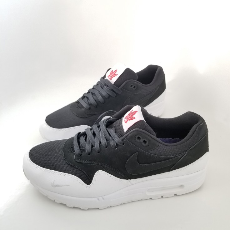 Toronto Nike Air Max The 6